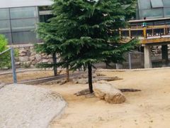 -辛玛王国游乐园