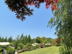 -铁山坪森林公园