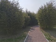 -嘉北郊野公园