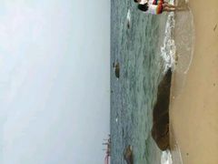 android_upload_pic-玫瑰海岸文化旅游度假区