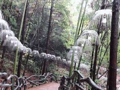-石燕湖生态旅游景区