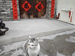 -三溪村
