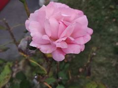 -花亭湖风景名胜区