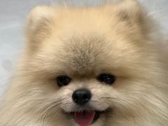 -乔曰Qiao Yue·茶咖局