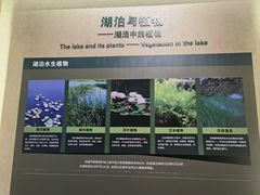 -大庆市博物馆
