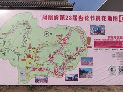 -北京凤凰岭