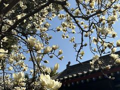 -西安市广仁寺