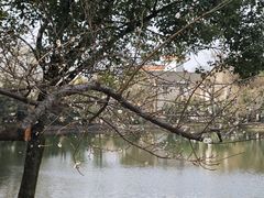 -绍兴东湖风景区