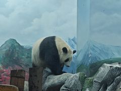 -武汉动物园