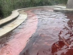 -咸宁万豪温泉谷度假区