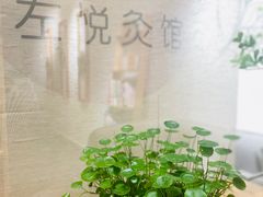 -左悦·艾灸调理·推拿按摩·精油SPA(卓悦汇店)