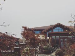 -大连金石滩绿发温泉假日酒店