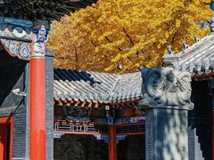 -长安寺
