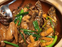 乳鸽炆黄骨鱼-七寸飝大饭店(马场店)