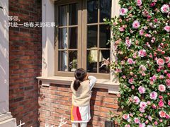 -证大大拇指广场(芳甸路店)