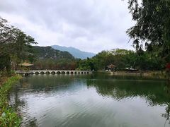 -鼎湖山风景区