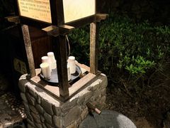 -明月山天沐温泉度假村