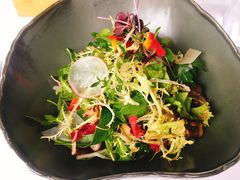 -蝶舍·MAISON PAPILLON