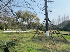 -花溪公园