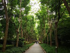 -徐家汇源景区-衡山公园