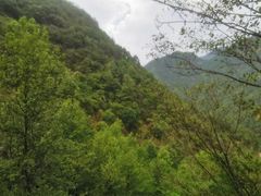 -遂昌金矿国家矿山公园