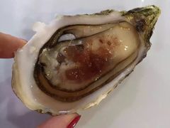 -马塞纳广场