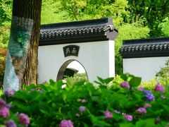 -上海共青森林公园