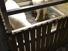 -上海大自然野生昆虫馆(东方明珠·爬宠昆虫探索中心)