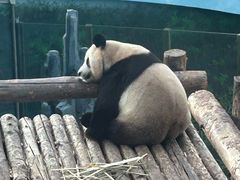 -大连森林动物园