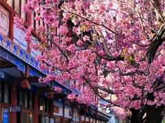 -崇圣寺三塔文化旅游区