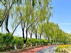 -大兴滨河森林公园