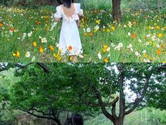 -名花谷生态庄园