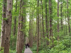 -同里国家湿地公园