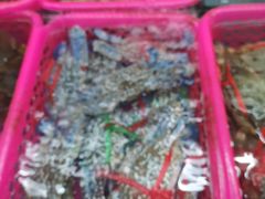 -春园海鲜广场D区6号(钟姐海鲜加工店)