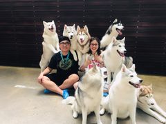 -TrueLove @ Neverland (Husky Cafe)