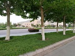 -南开大学滨海学院