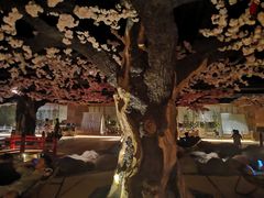 -蓝鲸湾汤泉(包河店)