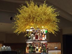 -Plush大堂酒廊(北京金融街威斯汀大酒店)
