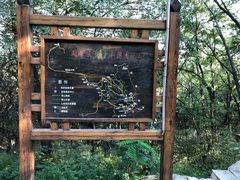-高尔山公园
