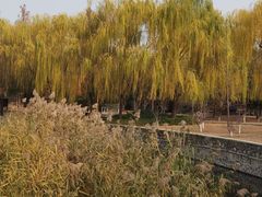 -元大都城垣遗址公园