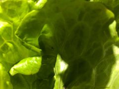 -九田家黑牛烤肉料理(溧阳吾悦店)