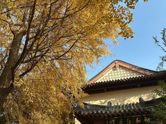 -郑和公园