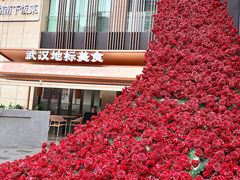 -肥肥虾庄·金牌油焖大虾(汉口城市广场店)
