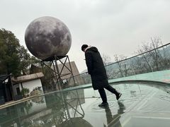 -巴倒烫陆派火锅山庄(南山总店)