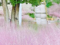 -牛岗山公园