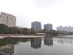 -南翔镇银翔湖公园