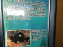 -北戴河圣蓝海洋公园