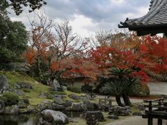 -醍醐寺
