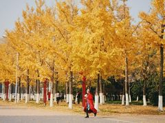 -金陵图书馆