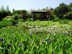 -日照灯塔风景区